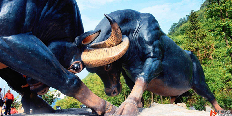 云臺山斗牛場，綠蛙看臺帶您引爆腎上腺，現(xiàn)場感受力的較量！