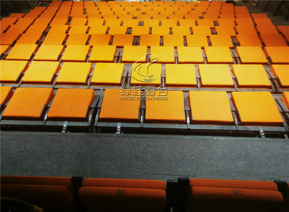 綠蛙看臺承接了深圳天鵝湖劇場中的電動伸縮看臺安裝
